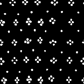 black,off white