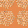 orange,cream,deep purple