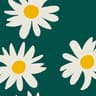 green,white,yellow