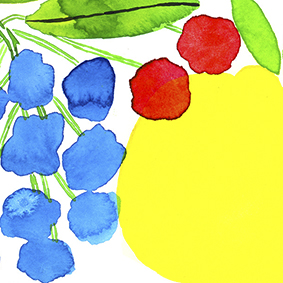 white,pink,yellow