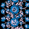 light blue,dark blue